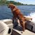 Patti Taylor's profile image