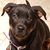 Julie Reynolds's profile image
