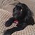Brian Freiwald's profile image