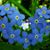 Sharon Ruda's profile image