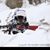 Theresa A Ferrara-buccini's profile image