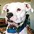 Jody Jones's profile image