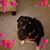 Mary Rycerz's profile image