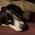 Holly Engelstad's profile image
