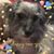 Joy Liv Myles's profile image