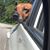 Lisa Arneman's profile image