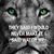 Cindy Trask's profile image