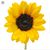 Ann Betts Daggett's profile image