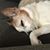 Kathy Feaster Showalter's profile image