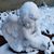 Dina Marie Hale's profile image