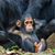 Toua Moua's profile image