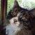 Stephanie Mastro's profile image