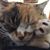 Joanne Remer's profile image