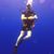 Rick Hart's profile image
