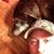 Mike Weaver's profile image