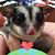 Clarissa Downey's profile image