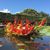 Pattiann Matarazzo's profile image
