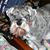 Judith M. Scharold Ott's profile image