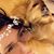 Jazmin Avila's profile image