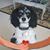 Dave Fyke's profile image