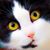 AnnaBelle Miller's profile image