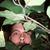 Timothy Grenier's profile image