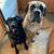 Natalie Howell Lawton's profile image