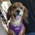 Linda Zairis's profile image