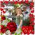 Aida Salgueiro's profile image