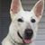 Stephen Householder's profile image