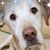 Janine Chittenden's profile image