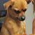 Joy Gammill's profile image