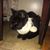 Jose Manuel Soto's profile image