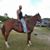 Ciro Diaz's profile image