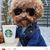 Nikki Phipps's profile image