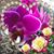 Therese Tilton's profile image