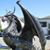 Joel Charles Dolphin's profile image
