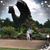 Dale Falkowski's profile image