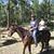 Gary Bryant's profile image