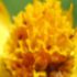 Kathie Z.'s profile image