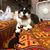 Rheanna Heflin's profile image