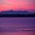 Terry Burress's profile image