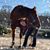 Dora Bennett's profile image