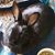 Wesley Van Anden's profile image