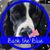 Lori DiLorenzo Ware's profile image