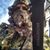 Pat Epperson's profile image