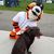 Kathleen Behunin's profile image