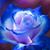 Deborah Triplett-Paiva's profile image
