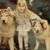Taryn Holley's profile image