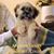 Arthur Bjoin's profile image